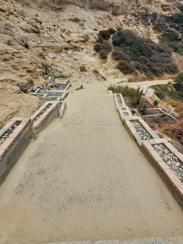 Some sections of the Citizens Trail leading to Black's Beach are decorative, giving the impression that it is a maintained trail. (Ashley Mackin-Solomon)