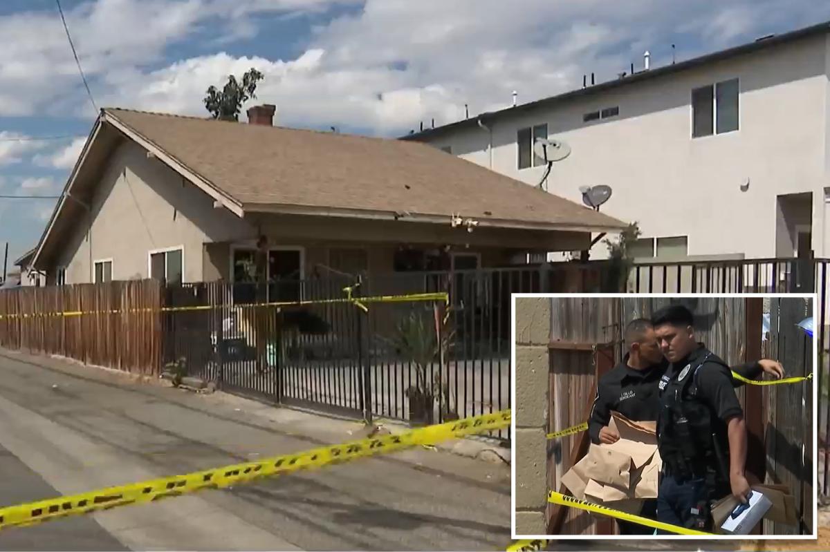 California mom Melissa Lynn Beisel charged with murdering her toddler son and staging death as accidental drowning