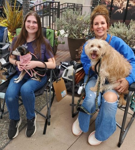La Jolla goes to the dogs for annual Mutt Strut – San Diego Union-Tribune
