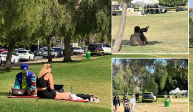 Perfect day at serene Los Angeles park hides disturbing reality