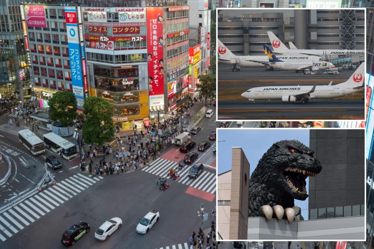 Major airline announces daily flights from California to Japan amid surging demand