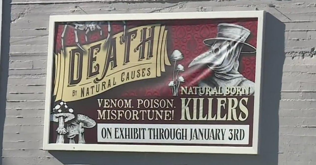 Historic Old Sacramento building transforms into museum space with exhibit on death