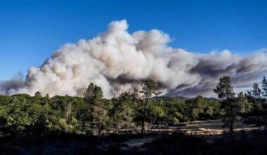 Sierra Nevada Conservancy awards $4.6 million for wildfire projects
