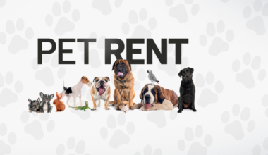 Hate pet rent fees? San Diego city leaders to consider ordinance that could end pet rent – NBC 7 San Diego