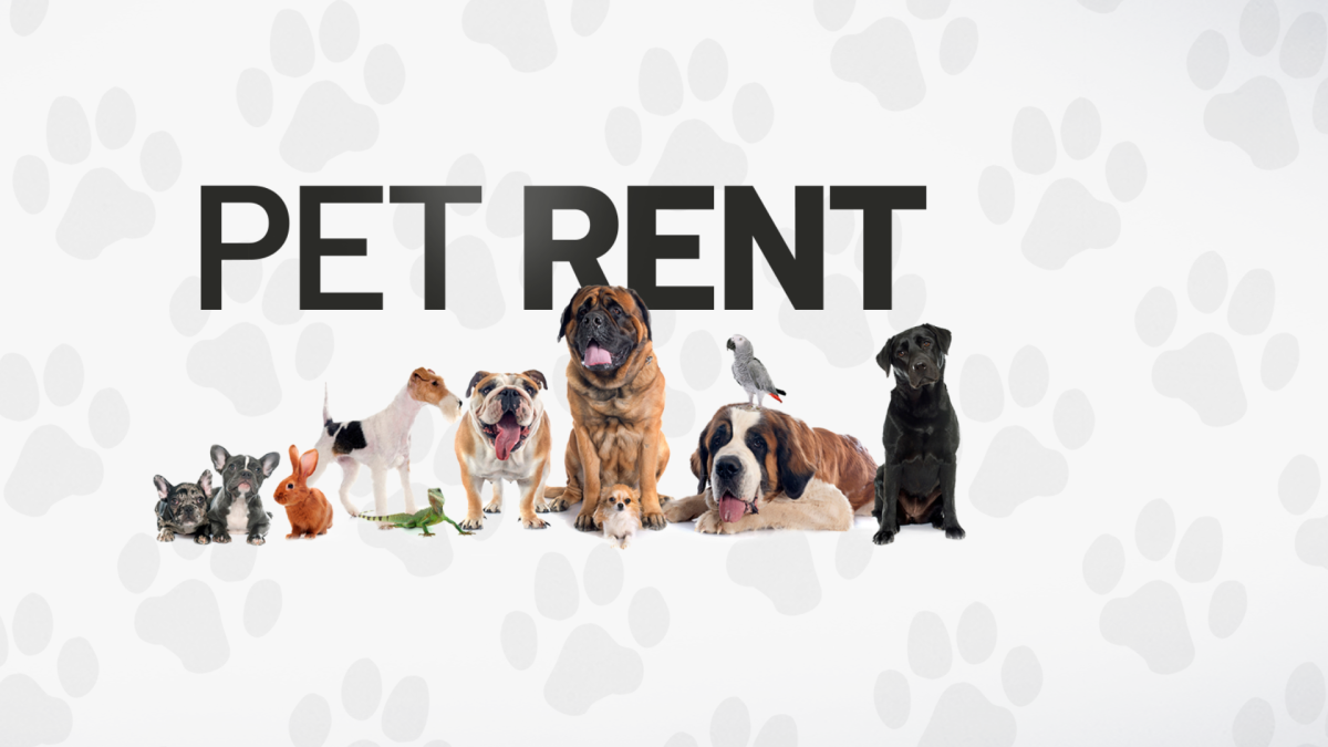Hate pet rent fees? San Diego city leaders to consider ordinance that could end pet rent – NBC 7 San Diego