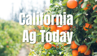 California Ag Veteran Expected to Land Key Water Appointment