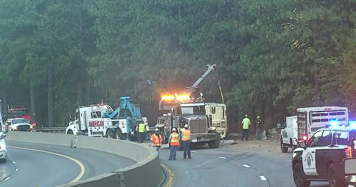 I-80 blocked in Placer County after semi hauling pigs overturns