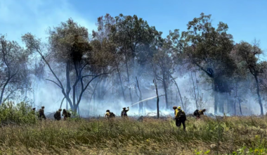 Sacramento man accused of arson in Shasta County fire investigation