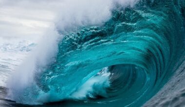 8-Foot Waves Possible In Seal Beach Starting Tuesday