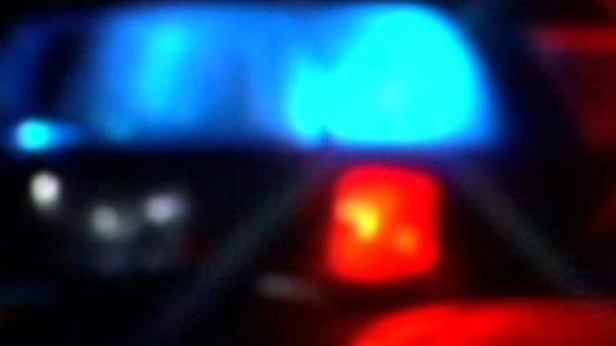 Attempted murder suspect, 85, dies in police custody – NBC 7 San Diego