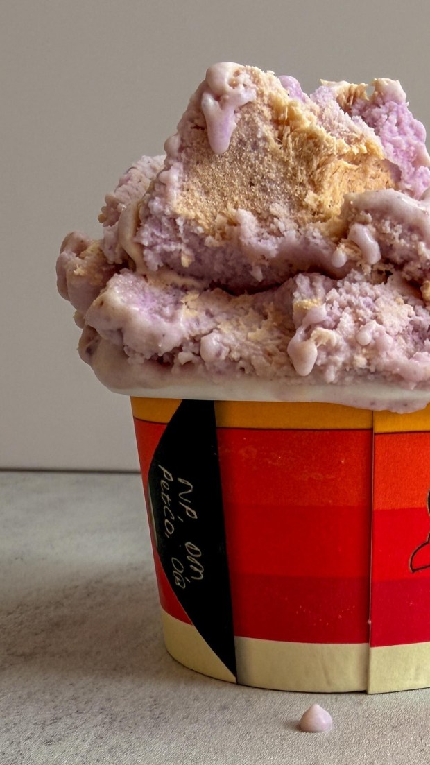A cup of Tubaw gelato, one of the new Filipino flavors being served at An's Gelato shops in Del Mar, Ocean Beach and Normal Heights. It has a base of ube gelato swirled with Vietnamese coffee whipped cream. (An's Gelato)