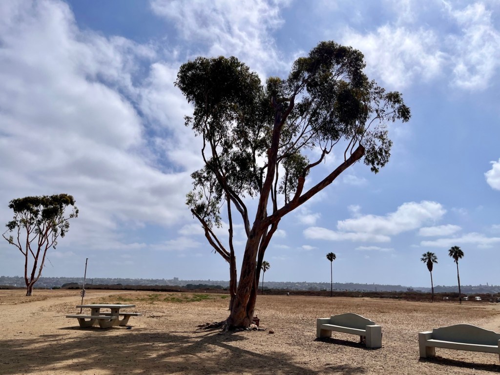 I’m a native San Diegan. But I’m secretly a little jealous of anybody who gets to move here. – San Diego Union-Tribune