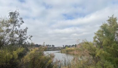 Hike of the week: Drive along the haunted Proctor Valley Road to reach this pleasant hike with reservoir views – San Diego Union-Tribune