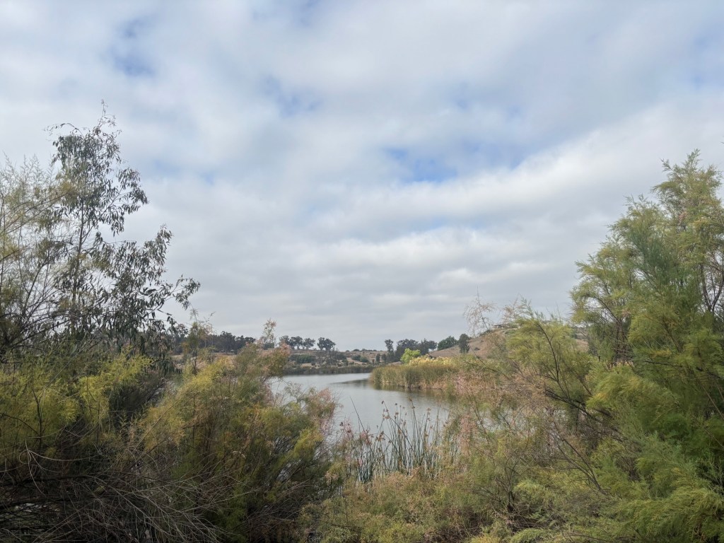 Hike of the week: Drive along the haunted Proctor Valley Road to reach this pleasant hike with reservoir views – San Diego Union-Tribune