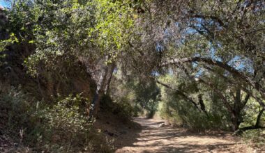 Hike of the week: 5 shady hikes for the heat of summer – San Diego Union-Tribune