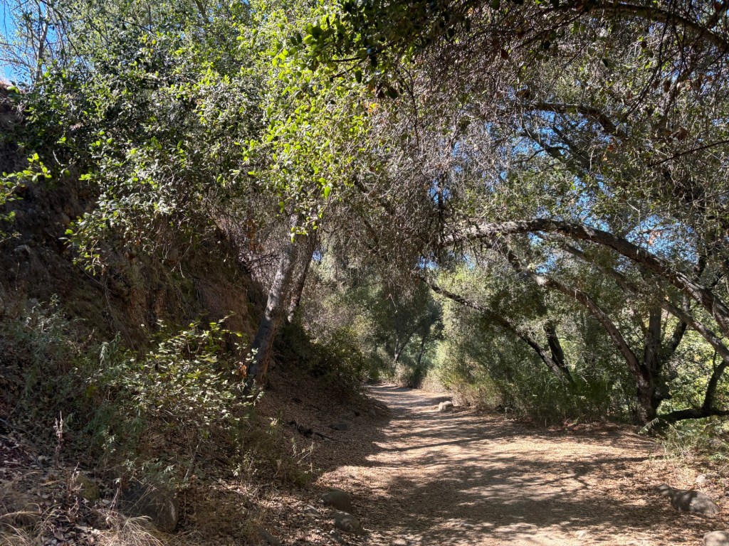 Hike of the week: 5 shady hikes for the heat of summer – San Diego Union-Tribune