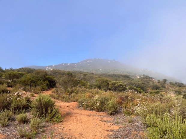 The trail begins by heading southwest and up a hillside. (Maura Fox / The San Diego Union-Tribune)