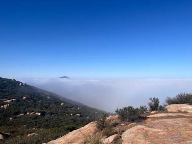 San Miguel Mountain peeks through the fog on an early morning, seen from the Suncrest Ecological Reserve. (Maura Fox / The San Diego Union-Tribune)