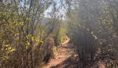 Hike of the week: A short and steep climb in the mountains behind El Cajon – San Diego Union-Tribune