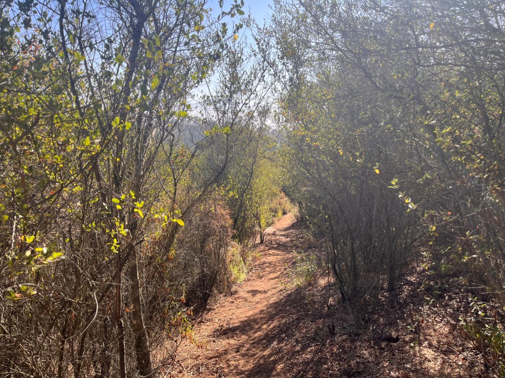 Hike of the week: A short and steep climb in the mountains behind El Cajon – San Diego Union-Tribune