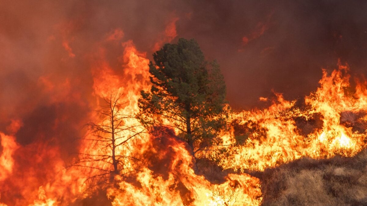 The Deadliest Kind of Wildfire Now Dominates California’s Forests