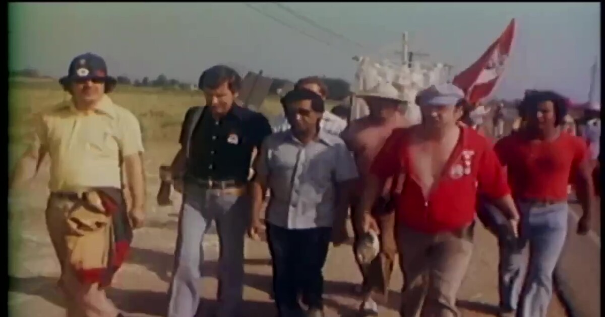 New report exposes alleged UFW sex abuse, cover-ups