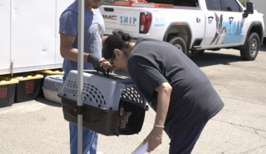 Mobile vet clinic brings affordable pet care to Kern County families