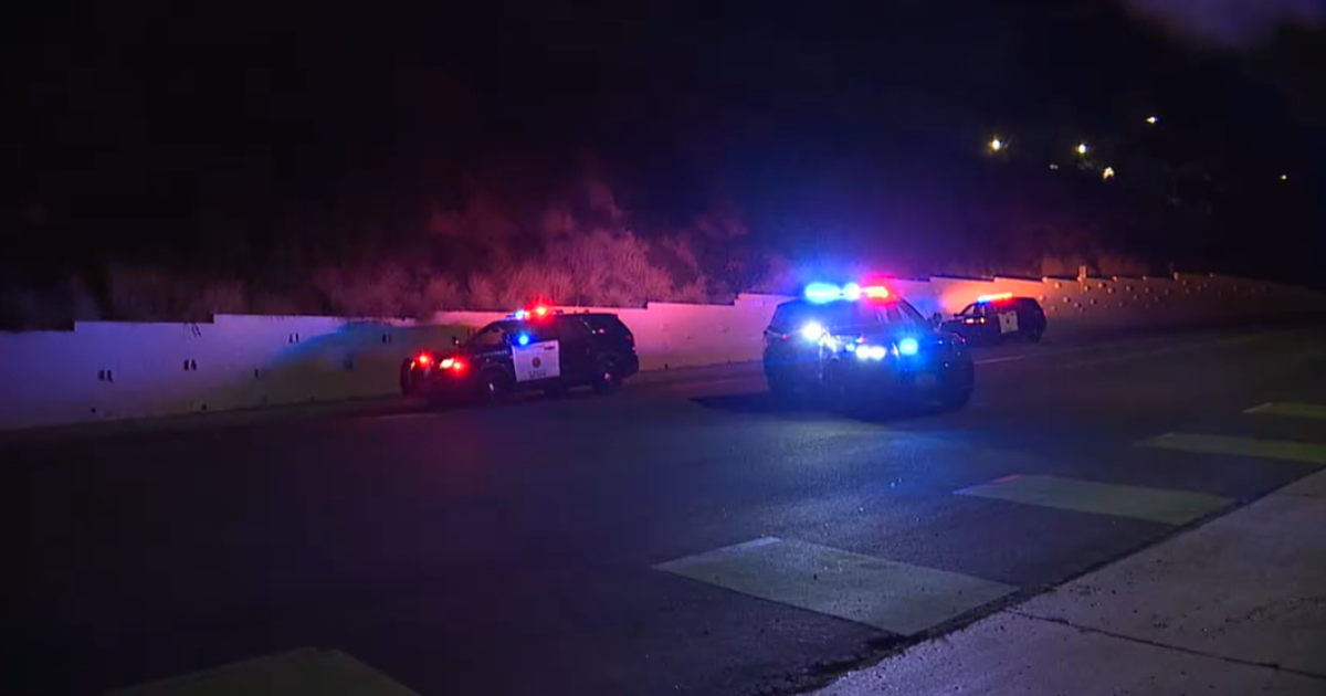 USD student fatally hit by SDPD vehicle determined as an apparent suicide