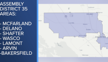 Assembly District 35 candidates react to early election results