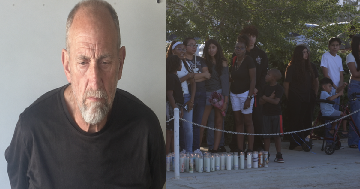 Warrant: Man pulled dogs from lake, left 12-year-old to drown