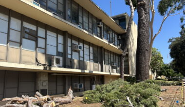 Pasadena Unified’s plan to cut down nearly 200 trees angers residents