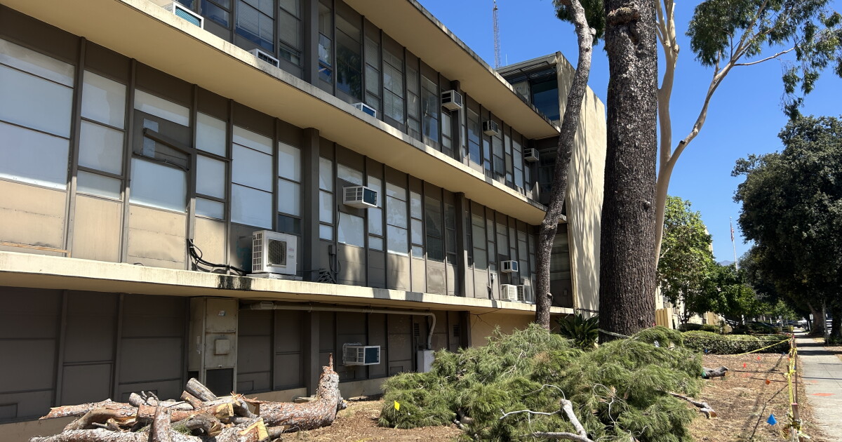 Pasadena Unified’s plan to cut down nearly 200 trees angers residents