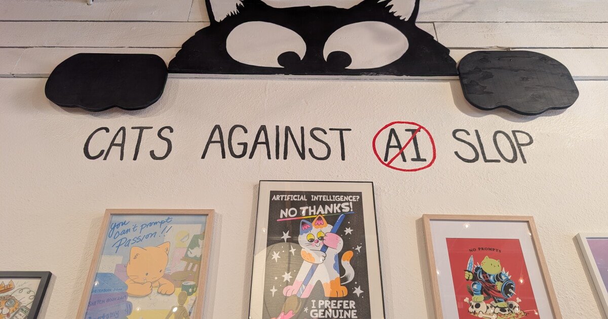 A Long Beach shop is throwing a cat zine festival. It's also trying to fix L.A.'s stray cat problem