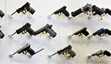 California Excise Tax on Guns, Ammo Survives Legal Challenge