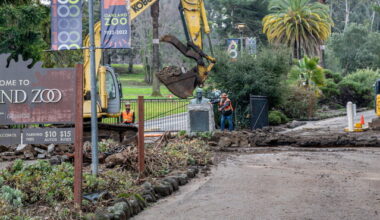 California Justices Deny Review of Oakland Zoo Funding Measure
