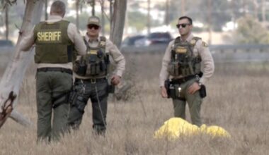 Skydiver dead after mid-air collision in California identified as Tahitian man