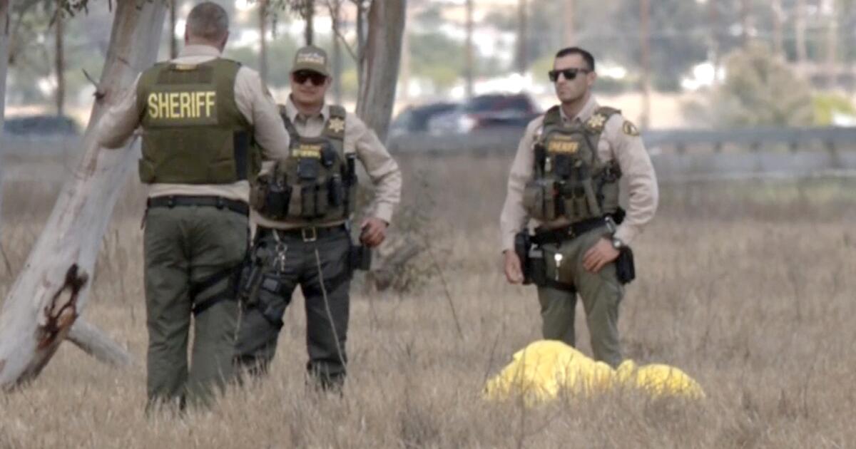Skydiver dead after mid-air collision in California identified as Tahitian man