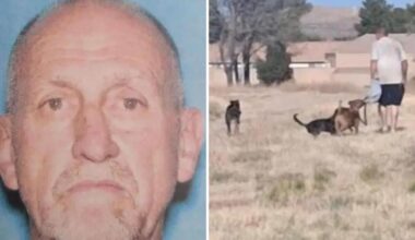 California boy drowns after jumping into lake to escape vicious dogs