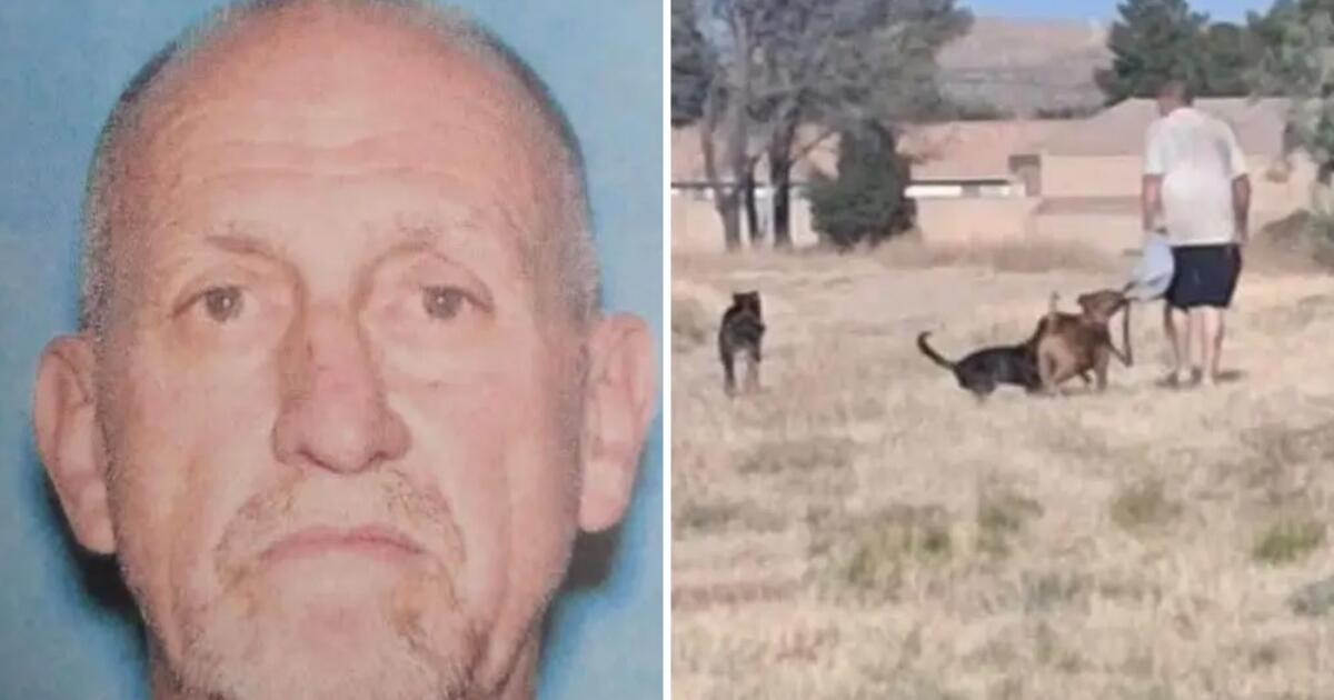 California boy drowns after jumping into lake to escape vicious dogs