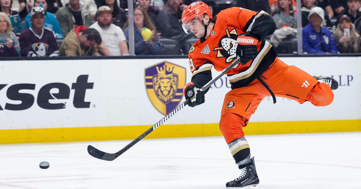 Ducks forward Troy Terry sidelined five to six months after surgery