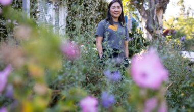 She tore out her L.A. hillside lawn and planted drought-tolerant plants