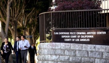 L.A. mom who killed her two children was legally insane, court finds