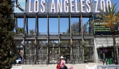 The L.A. Zoo's dilapidation crisis was seven decades in the making