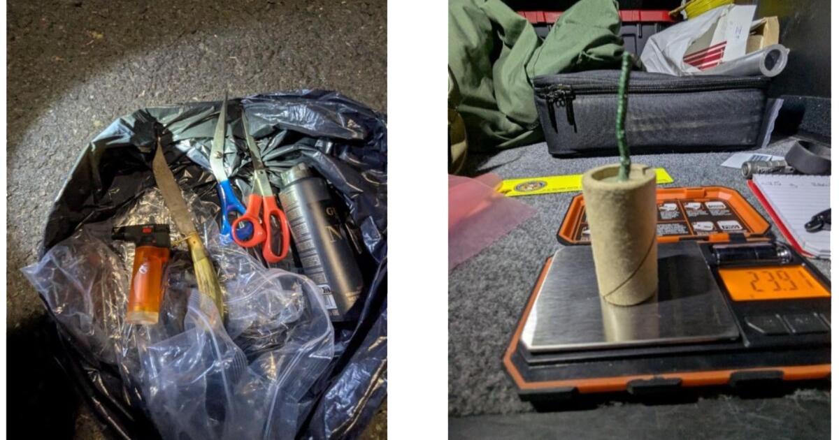 California man attempts to board plane with explosive, 5 phones and a very ominous text