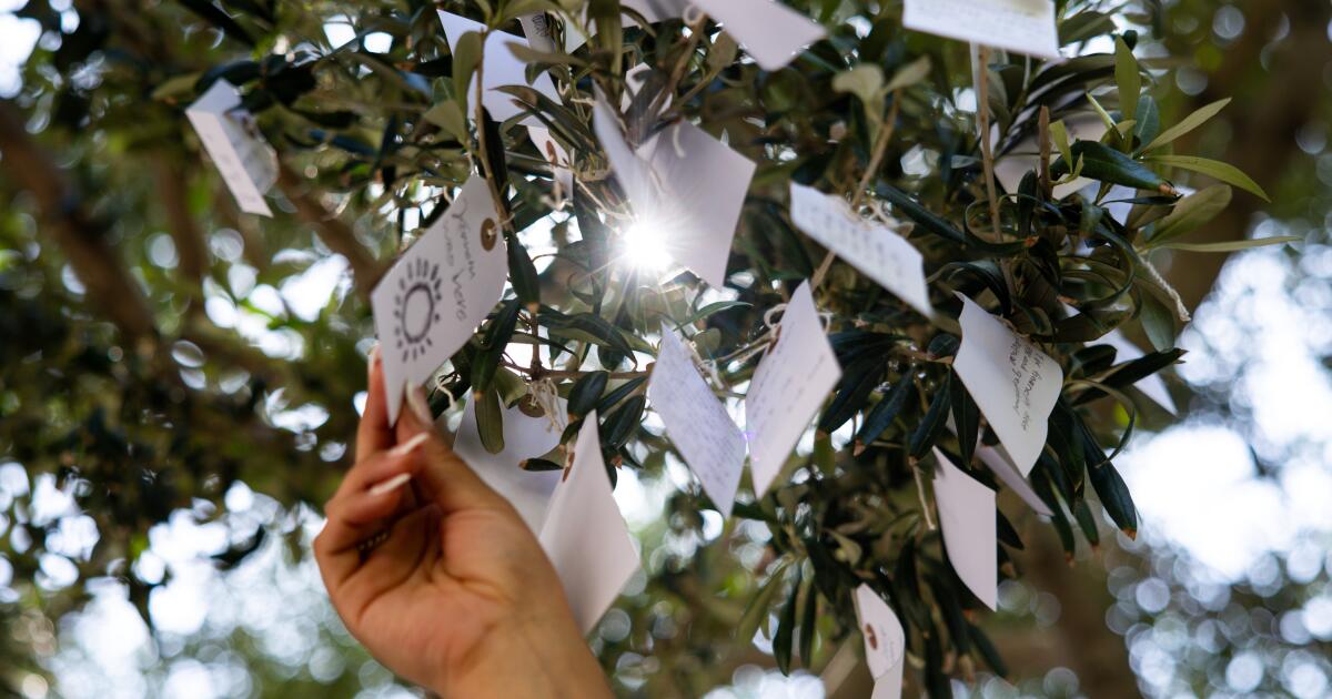 Yoko Ono's "Wish Trees" at the Broad is a snapshot of the mood in Los Angeles right now.