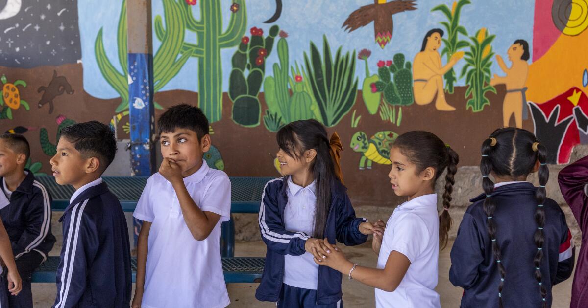 How an international collaboration led to the creation of a hidden treasure in Baja California