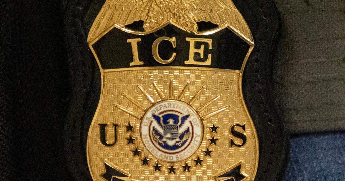 Santa Monica man pleads guilty to 'doxing' ICE official