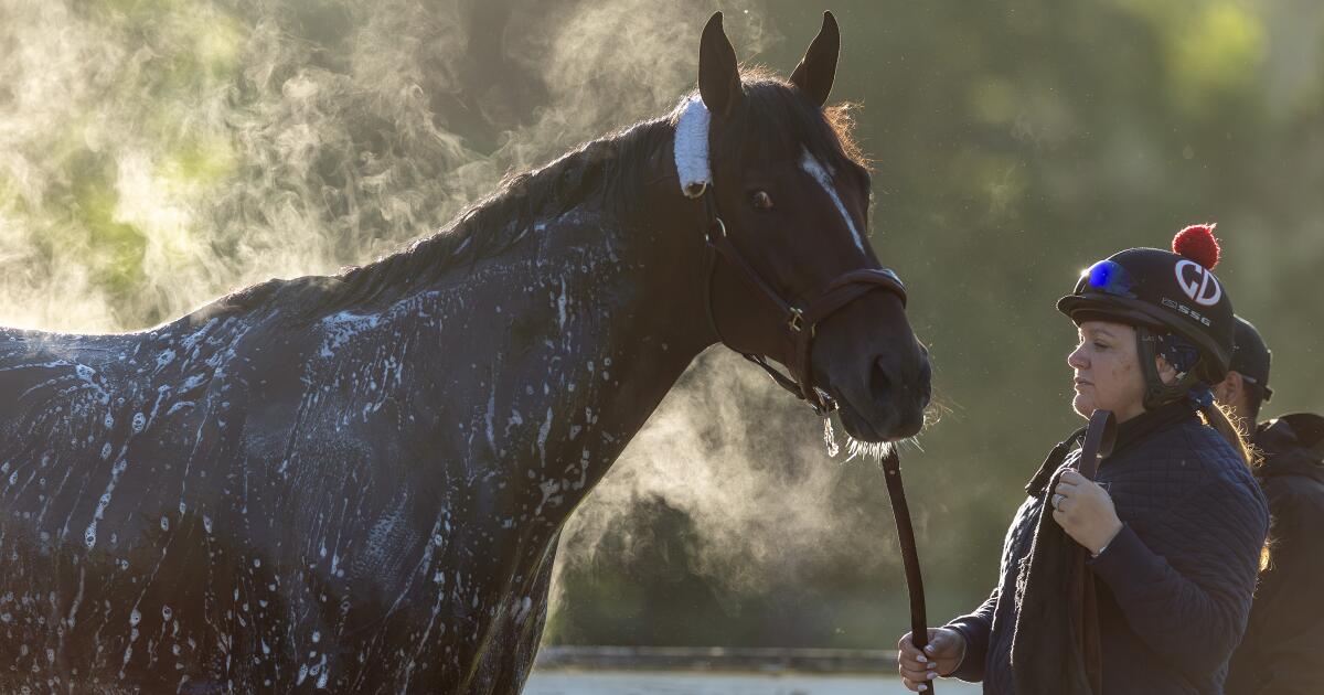 Kentucky Derby star Cherie DeVaux hopes Golden Tempo surprises