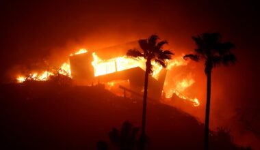 Mayor Bass' brother joins Palisades fire lawsuit against city of L.A.