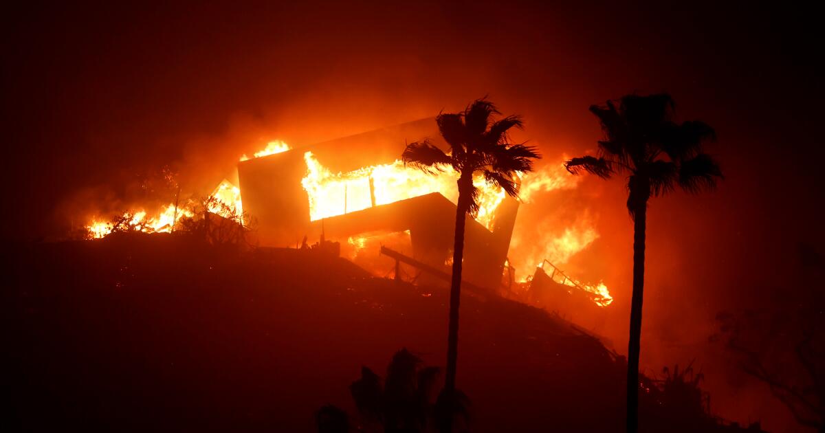 Mayor Bass' brother joins Palisades fire lawsuit against city of L.A.